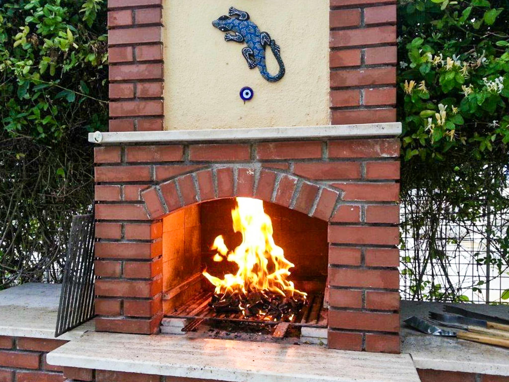 BBQ lit.jpg